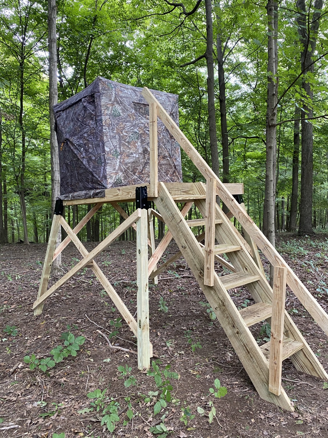 Hunting blind setup
